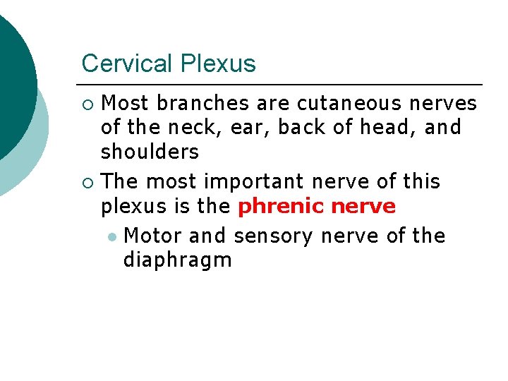 Cervical Plexus Most branches are cutaneous nerves of the neck, ear, back of head,