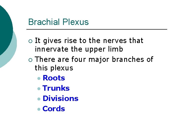 Brachial Plexus It gives rise to the nerves that innervate the upper limb ¡