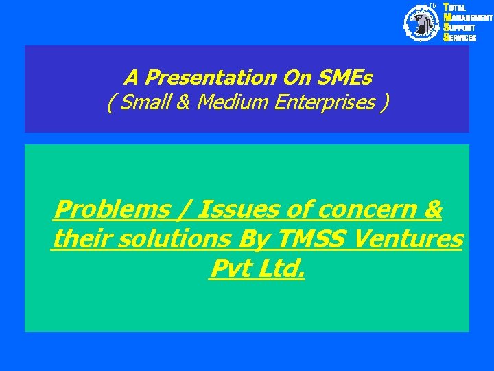 TM A Presentation On SMEs ( Small & Medium Enterprises ) Problems / Issues