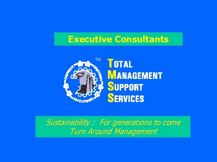 Executive Consultants TM Sustainability : For generations to come Turn Around Management 