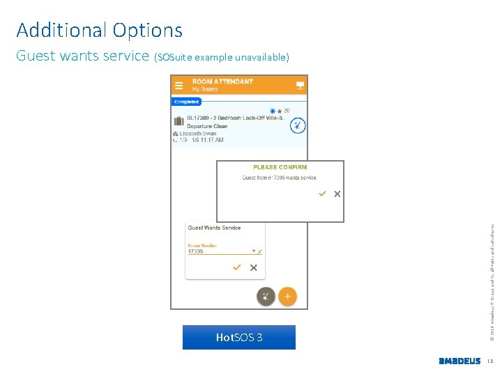 Additional Options Hot. SOS 3 © 2016 Amadeus IT Group and its affiliates and