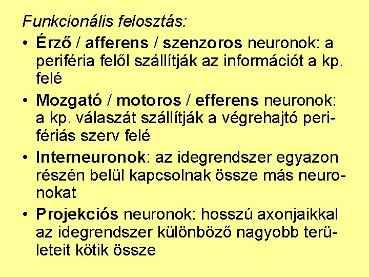 Funkcionális felosztás: • Érző / afferens / szenzoros neuronok: a periféria felől szállítják az