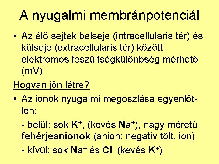 A nyugalmi membránpotenciál • Az élő sejtek belseje (intracellularis tér) és külseje (extracellularis tér)