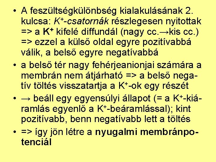  • A feszültségkülönbség kialakulásának 2. kulcsa: K+-csatornák részlegesen nyitottak => a K+ kifelé