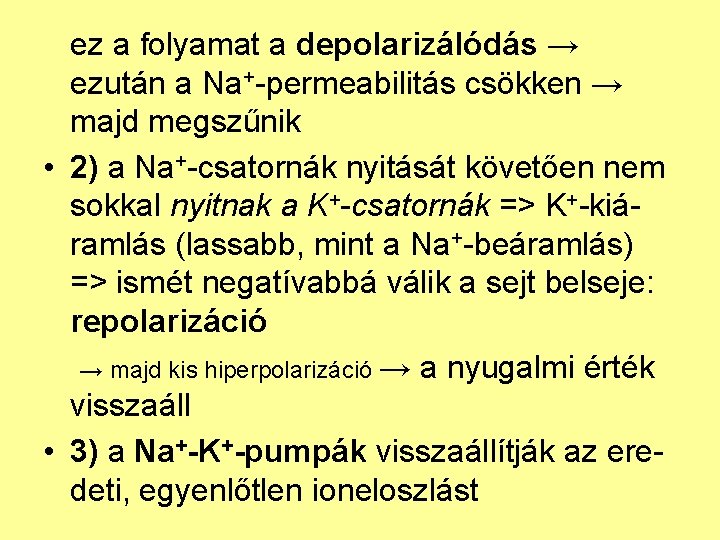 ez a folyamat a depolarizálódás → ezután a Na+-permeabilitás csökken → majd megszűnik •
