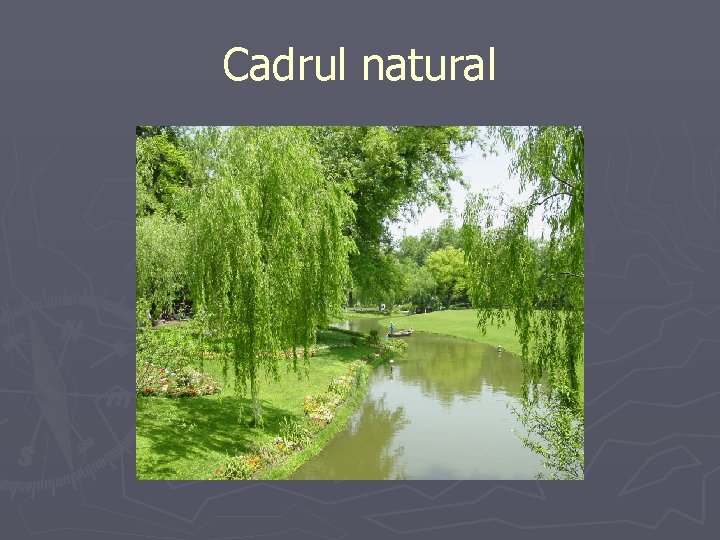 Cadrul natural 