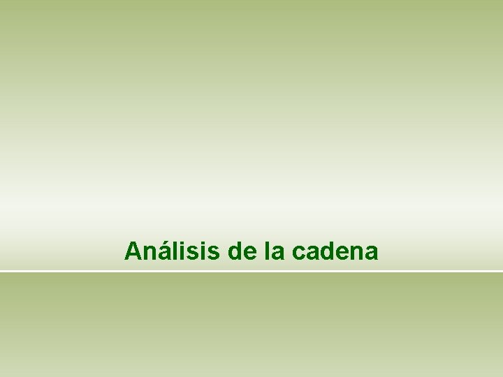 Análisis de la cadena 