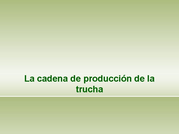 La cadena de producción de la trucha 