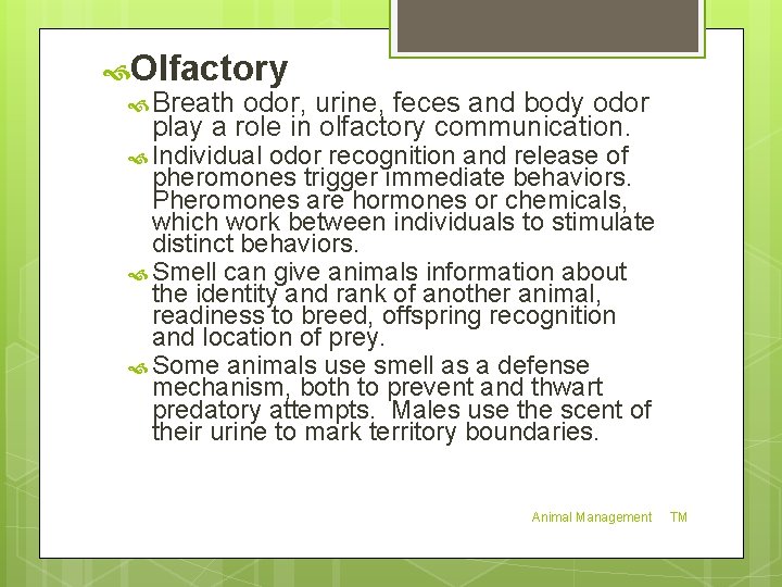  Olfactory Breath odor, urine, feces and body odor play a role in olfactory
