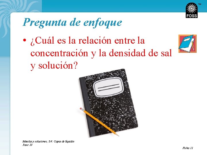 TM Pregunta de enfoque • ¿Cuál es la relación entre la concentración y la