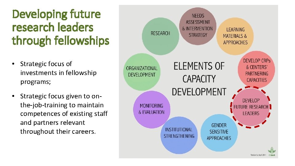 Developing future research leaders through fellowships • Strategic focus of investments in fellowship programs;