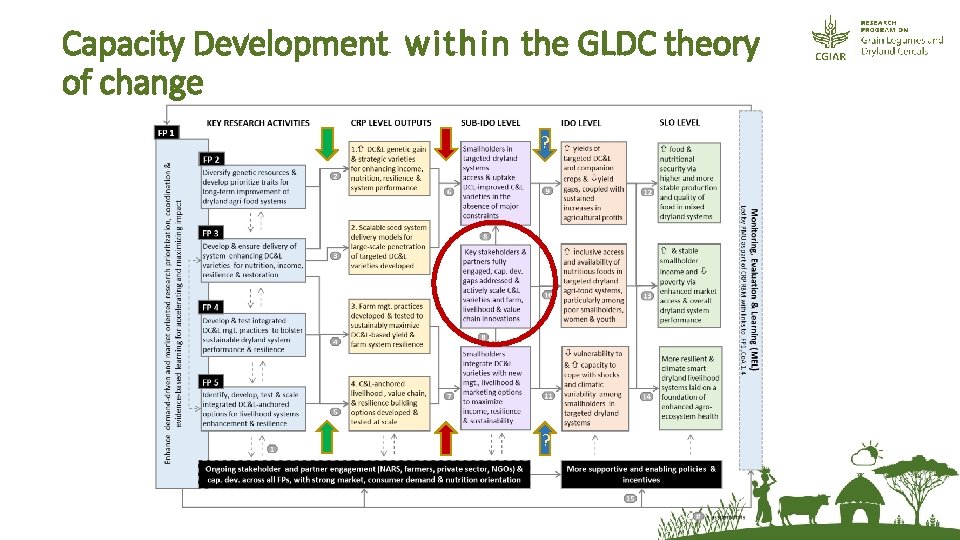 Capacity Development within the GLDC theory of change ? ? 