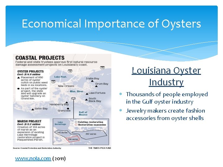 Economical Importance of Oysters Louisiana Oyster Industry Thousands of people employed in the Gulf