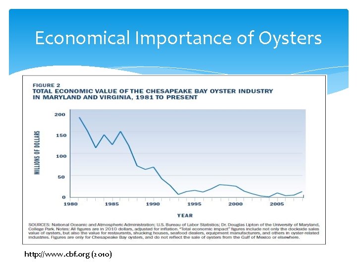 Economical Importance of Oysters http: //www. cbf. org (2010) 