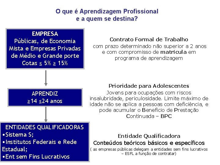 O que é Aprendizagem Profissional e a quem se destina? EMPRESA Públicas, de Economia