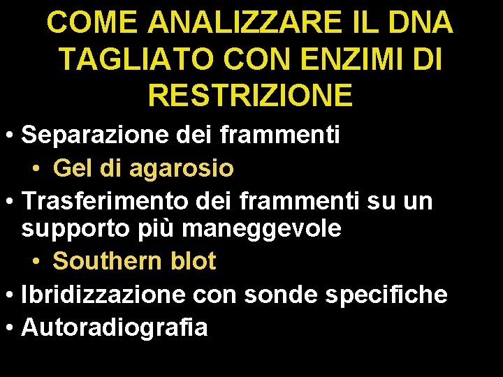 COME ANALIZZARE IL DNA TAGLIATO CON ENZIMI DI RESTRIZIONE • Separazione dei frammenti •