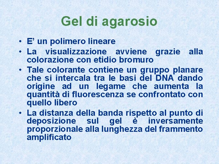 Gel di agarosio • E’ un polimero lineare • La visualizzazione avviene grazie alla