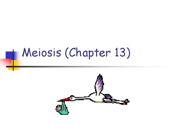 Meiosis (Chapter 13) 