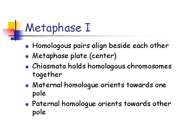 Metaphase I n n n Homologous pairs align beside each other Metaphase plate (center)