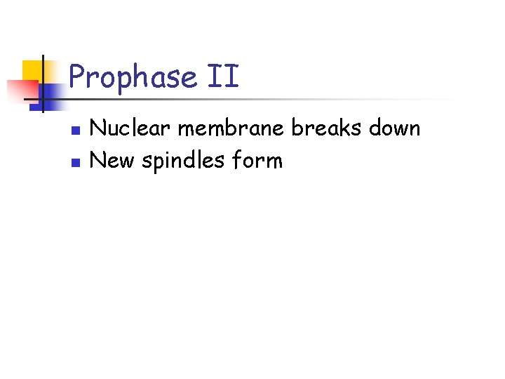 Prophase II n n Nuclear membrane breaks down New spindles form 