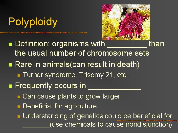 Polyploidy n n Definition: organisms with _____ than the usual number of chromosome sets