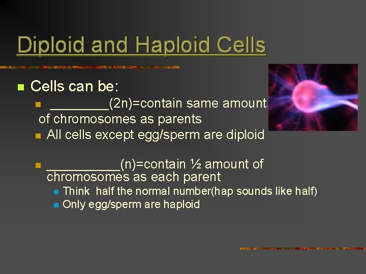 Diploid and Haploid Cells n Cells can be: ____(2 n)=contain same amount of chromosomes