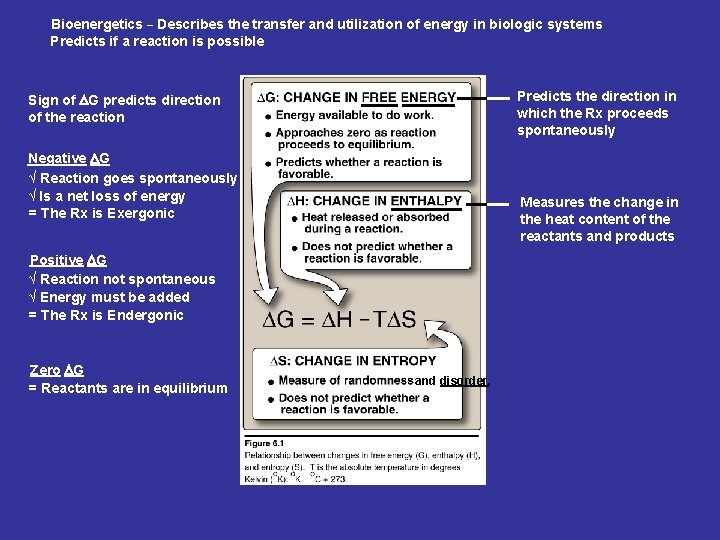 Bioenergetics _ Describes the transfer and utilization of energy in biologic systems Predicts if Bioenergetics _ Describes the transfer and utilization of energy in biologic systems Predicts if