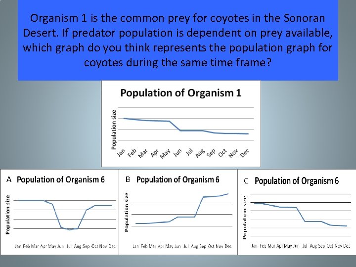 Organism 1 is the common prey for coyotes in the Sonoran Desert. If predator Organism 1 is the common prey for coyotes in the Sonoran Desert. If predator