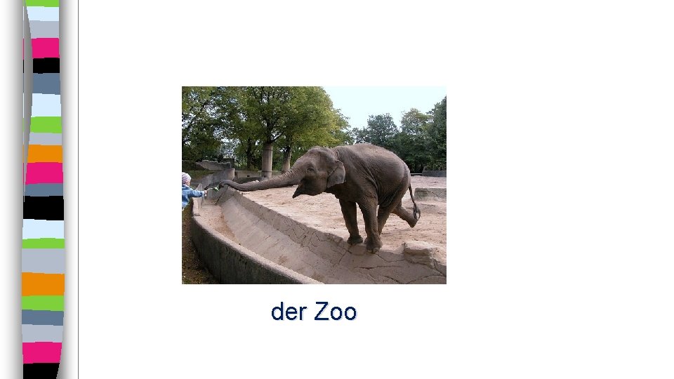 der Zoo 