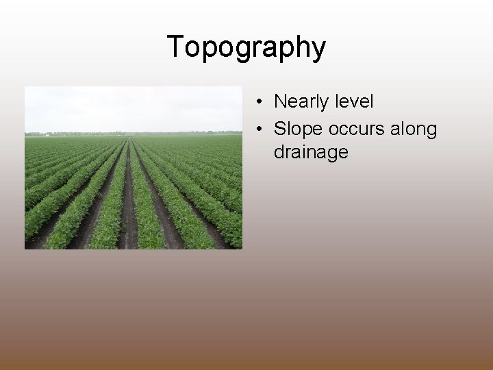 Topography • Nearly level • Slope occurs along drainage 