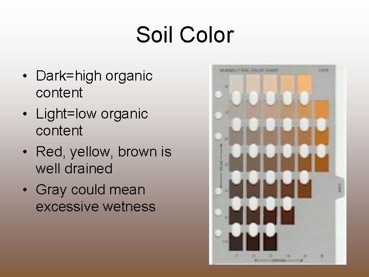 Soil Color • Dark=high organic content • Light=low organic content • Red, yellow, brown