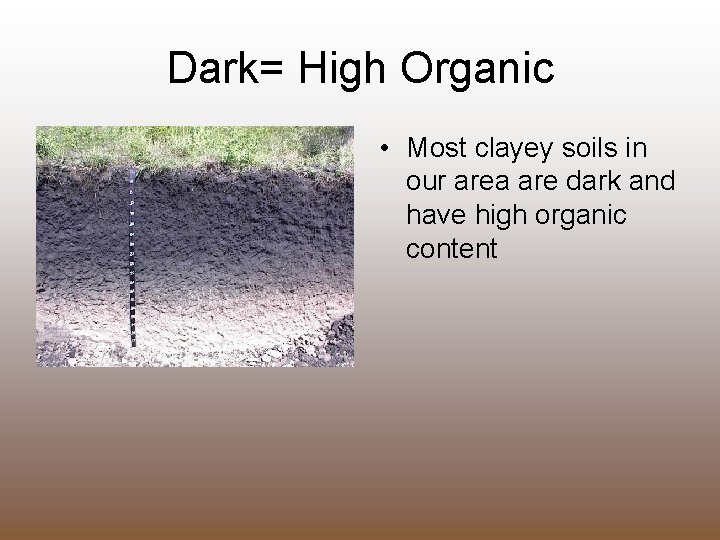 Dark= High Organic • Most clayey soils in our area are dark and have