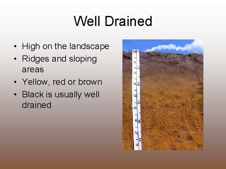 Well Drained • High on the landscape • Ridges and sloping areas • Yellow,