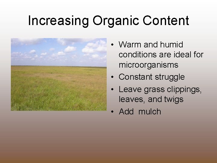Increasing Organic Content • Warm and humid conditions are ideal for microorganisms • Constant