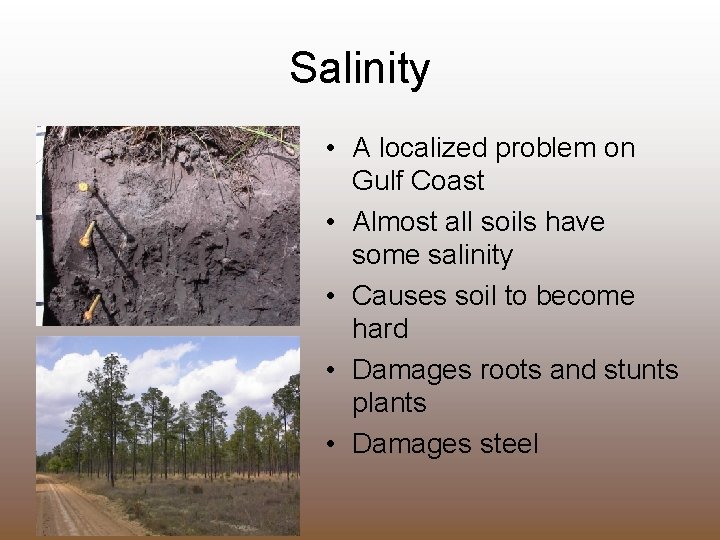 Salinity • A localized problem on Gulf Coast • Almost all soils have some