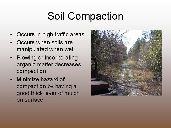 Soil Compaction • Occurs in high traffic areas • Occurs when soils are manipulated