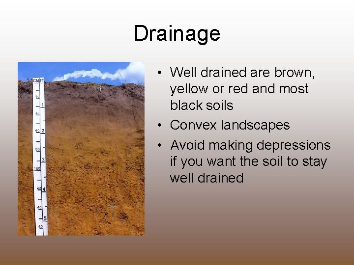 Drainage • Well drained are brown, yellow or red and most black soils •