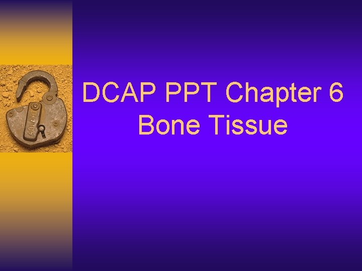 DCAP PPT Chapter 6 Bone Tissue 