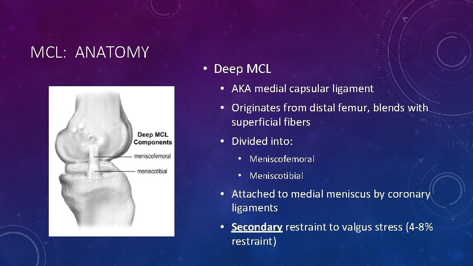 MCL: ANATOMY • Deep MCL • AKA medial capsular ligament • Originates from distal
