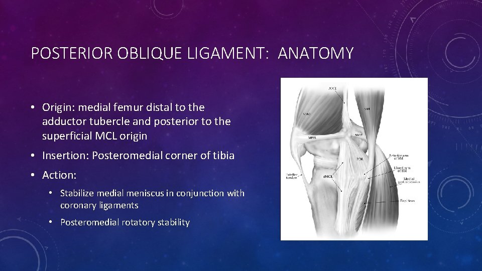 POSTERIOR OBLIQUE LIGAMENT: ANATOMY • Origin: medial femur distal to the adductor tubercle and