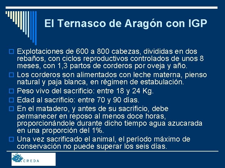 El Ternasco de Aragón con IGP o Explotaciones de 600 a 800 cabezas, divididas