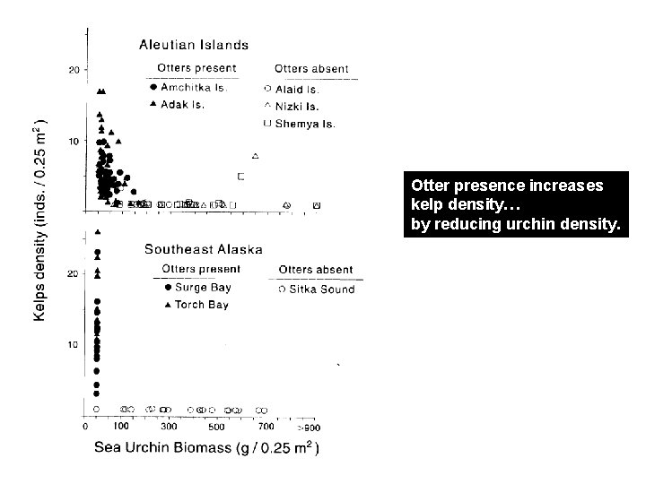 Otter presence increases kelp density… by reducing urchin density. 