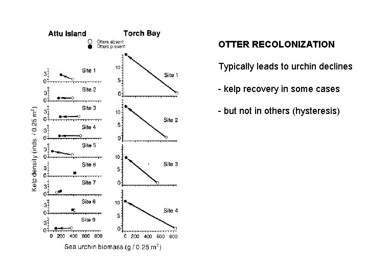 OTTER RECOLONIZATION Typically leads to urchin declines - kelp recovery in some cases -