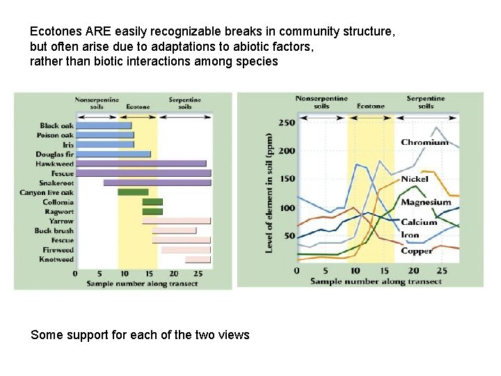 Ecotones ARE easily recognizable breaks in community structure, but often arise due to adaptations