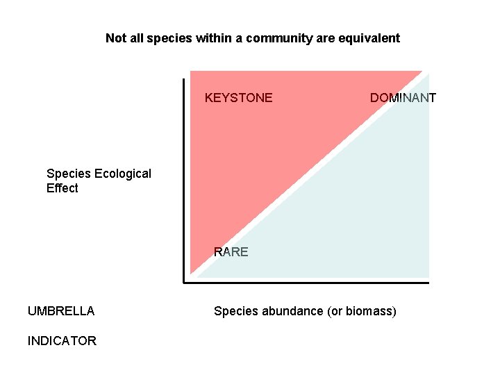 Not all species within a community are equivalent KEYSTONE DOMINANT Species Ecological Effect RARE