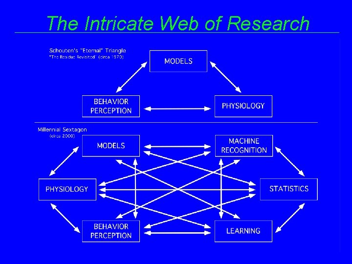 The Intricate Web of Research 