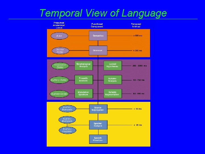 Temporal View of Language 