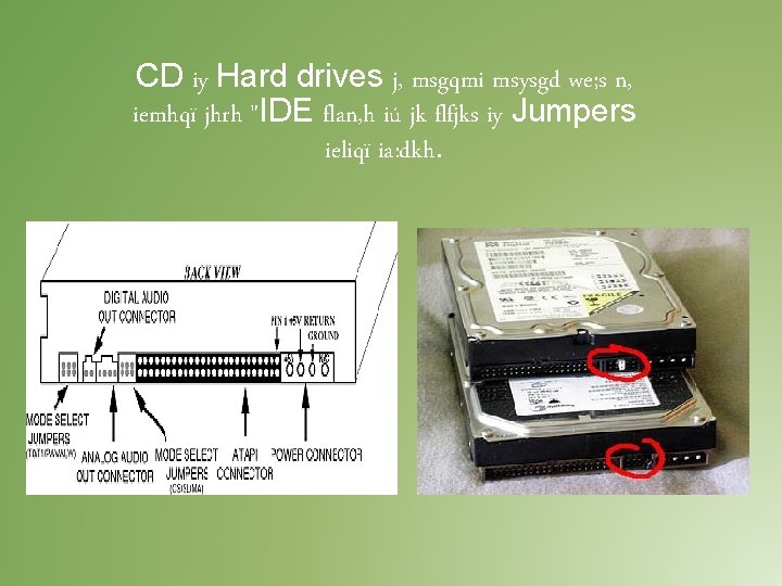 CD iy Hard drives j, msgqmi msysgd we; s n, iemhqï jhrh "IDE flan, CD iy Hard drives j, msgqmi msysgd we; s n, iemhqï jhrh "IDE flan,