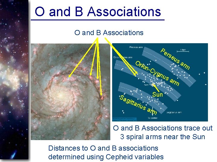 O and B Associations Pe Or io n-C Sag ygn rse us us arm