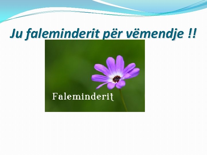 Ju faleminderit për vëmendje !! 